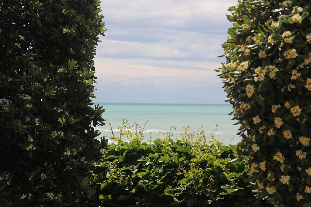 All'Etrusconia Hotel Castagneto Carducci Marina di Castagneto Carducci Bagian luar foto